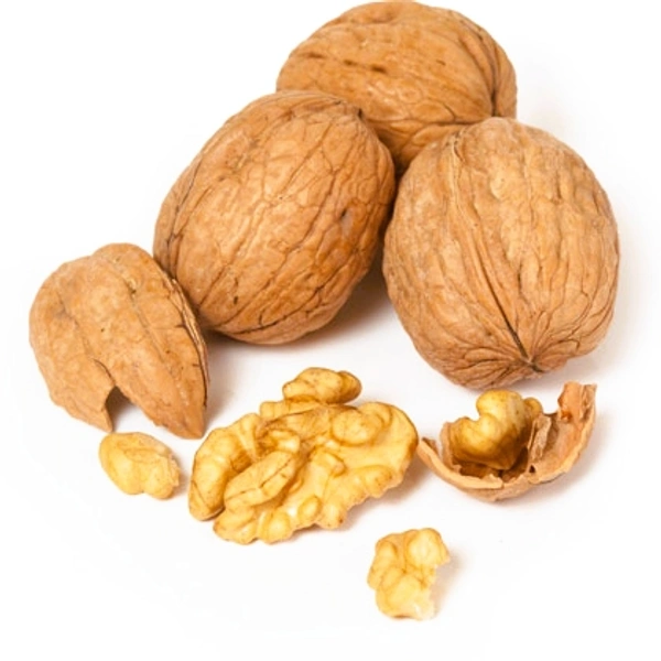Walnuts Inshell (Premium) - 500gm