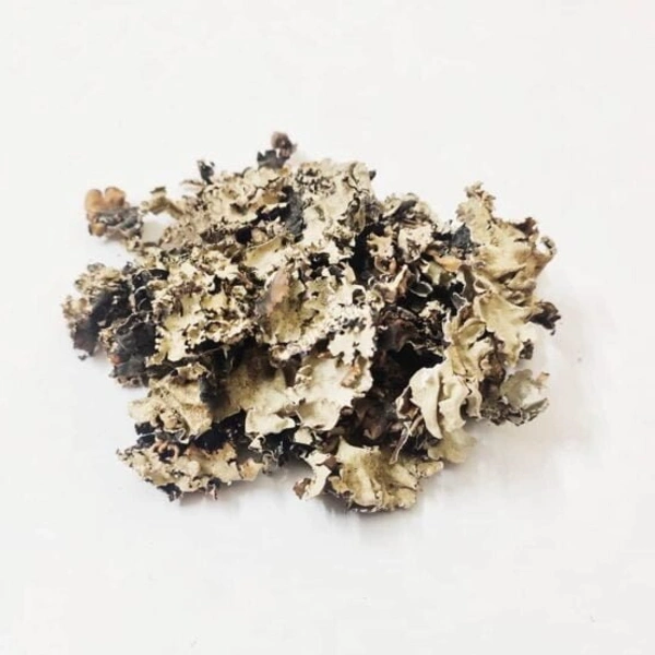 Rati Phool / Stone Flower - 250gm