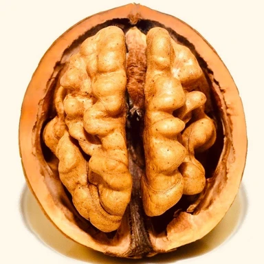 WALNUTS