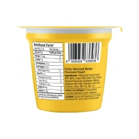 Epigamia Everyday Yogurt Mango Flavoured