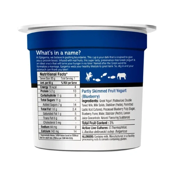Epigamia Blueberry Greek Yogurt