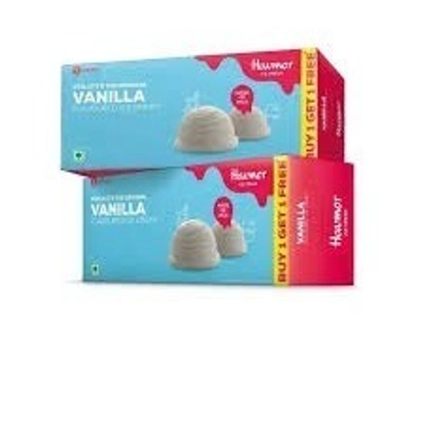 Havmor Vanilla Ice Cream Family Pack (Buy 1 Get 1) - 700 ml + 700 ml