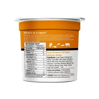 Epigamia Mango Flavoured Greek Yogurt
