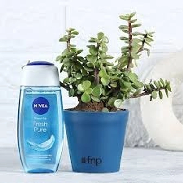 Nivea Fresh Pure Mini Shower Gel - 125 ml