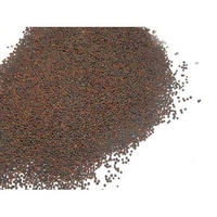 Rai Pack - राई पैक  - 500gm