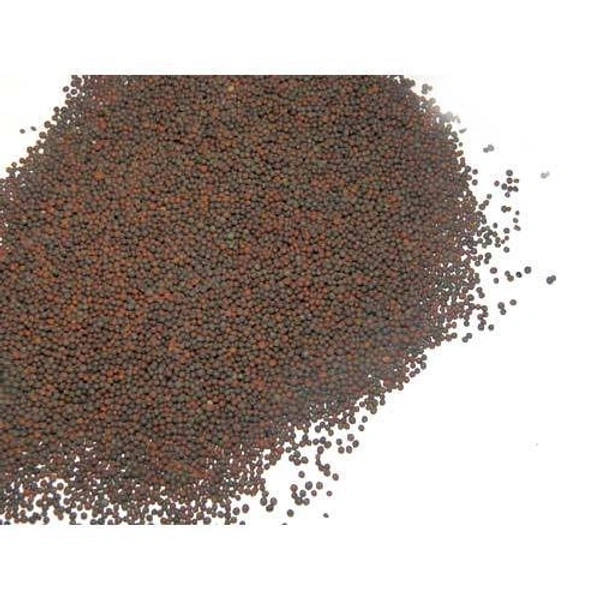 Rai Pack - राई पैक  - 500gm