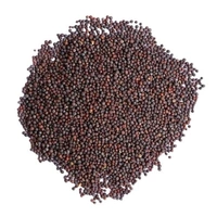 Kali Sarso/ Black Mustard / Kala Sarso - 250gm