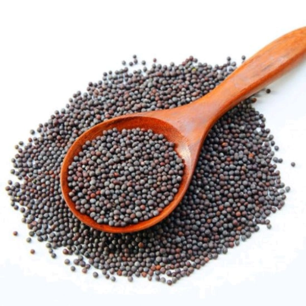 Kali Sarso/ Black Mustard / Kala Sarso - 250gm