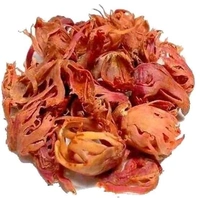 Javitri  Masala - जैवेत्री  - 25gm