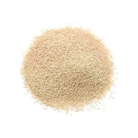Posta Dana Khus-Khus / Poppy Seeds (Loose) - 500g