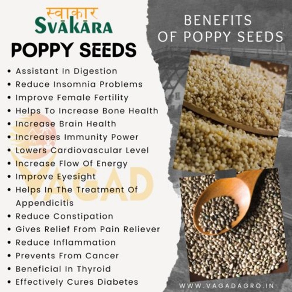 Posta Dana Khus-Khus / Poppy Seeds (Loose) - 500g