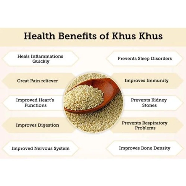 Posta Dana Khus-Khus / Poppy Seeds (Loose) - 500g
