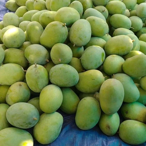 Dudhiya Malda/Langra Mango - 1kg