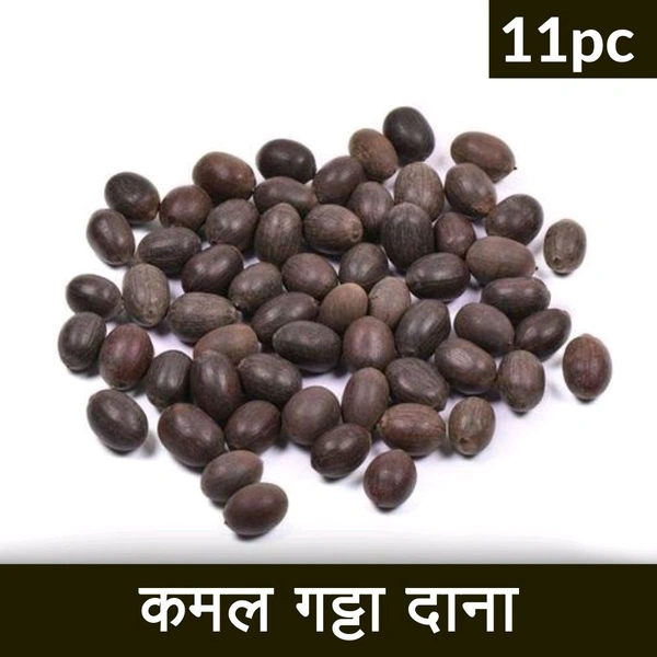 Kamal Gatta Sabut Puja Lotus seed - 11Pc