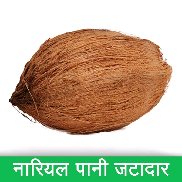 Nariyal Pani Jatadar - 1Pc