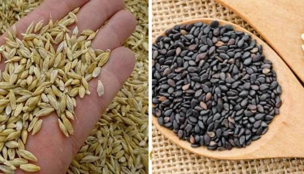 Til And Jau/Juvar - तिल और जौ  - 50g+50g