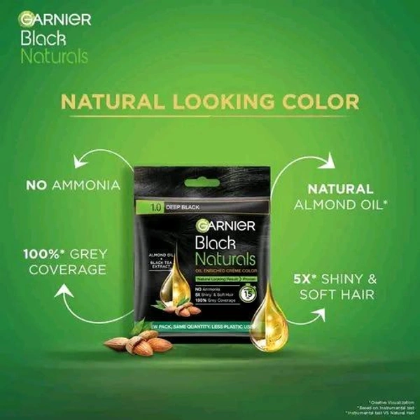 Garnier Naturals Hair Color - 1.0 Deep Black
