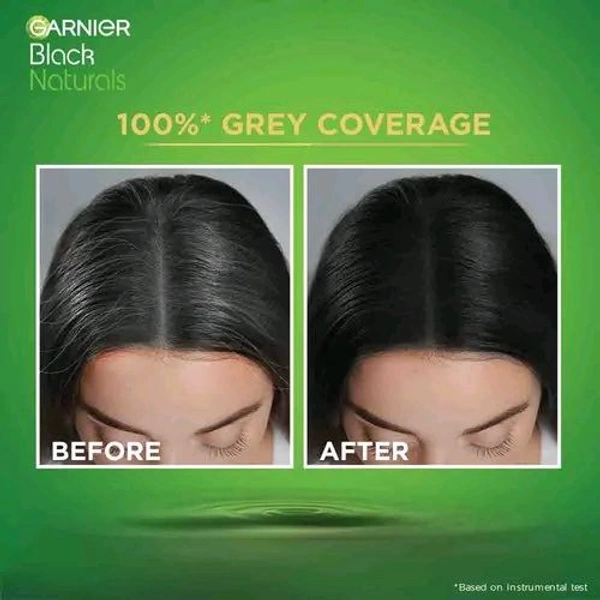Garnier Naturals Hair Color - 1.0 Deep Black