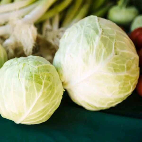 Cabbage (Patta Gobhi) - पत्ता गोभी  - 500gm