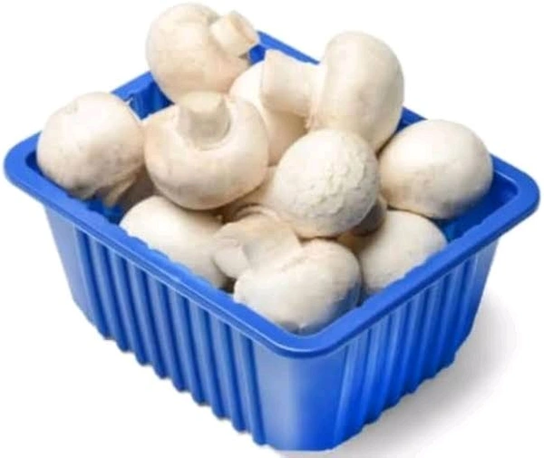 Mashroom Packet  - 200gm