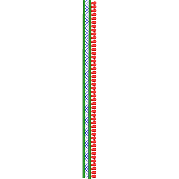 Blouse Design No :MSM - 280 - Simple Border