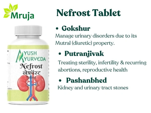 Nefrost Tablet - 100 Gm