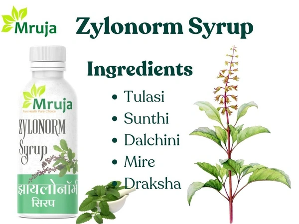 Zylonorm Syrup - 200 ml