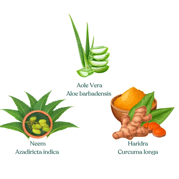 Mruja Aloevera Gel - 100 ml