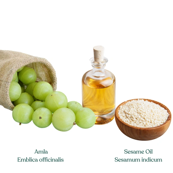 Amalki Tail (Amla Oil) - 200 ml