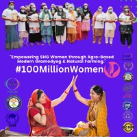 Moong Dhuli Dal, Unpolished Desi Dal- Simply Homemade - 500g