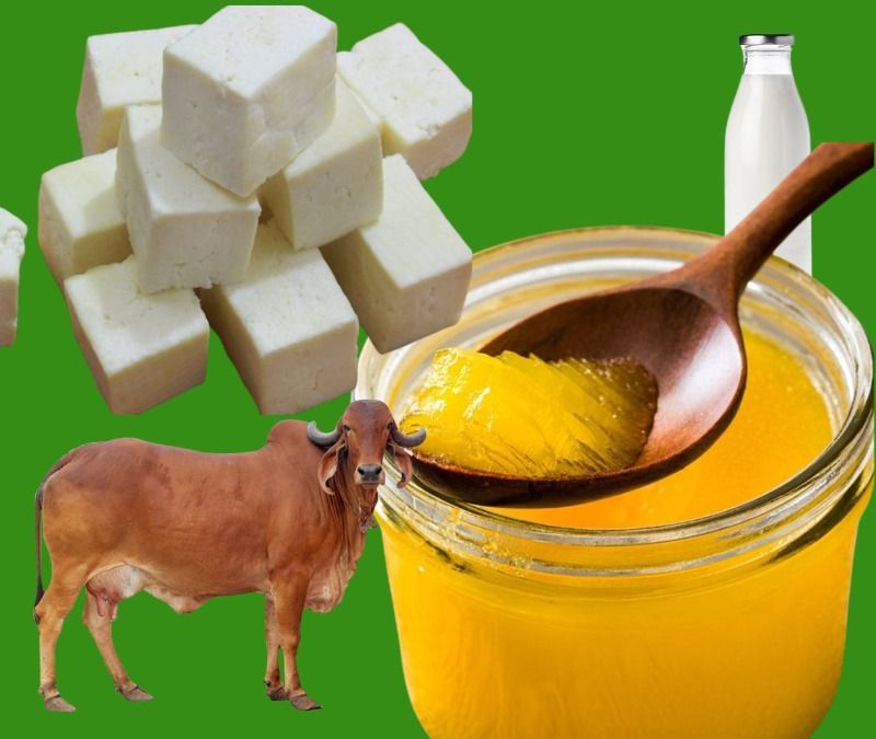 Ghee & Dairy