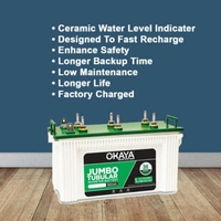 OKAYA Okaya OPJT19036 INVERTER Battery 160Ah - 10900