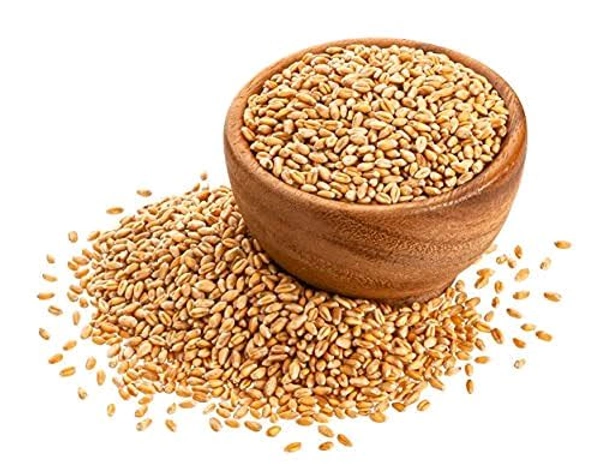Sharbati Wheat - 1kg