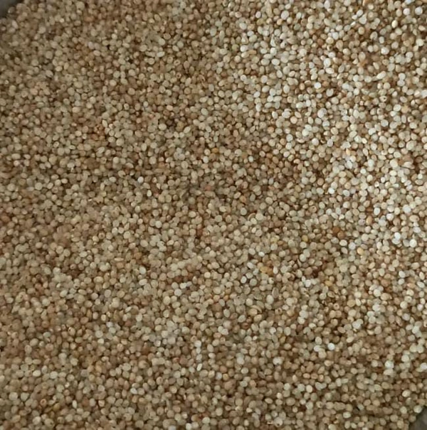Barnyard Millet  - 1 Kg
