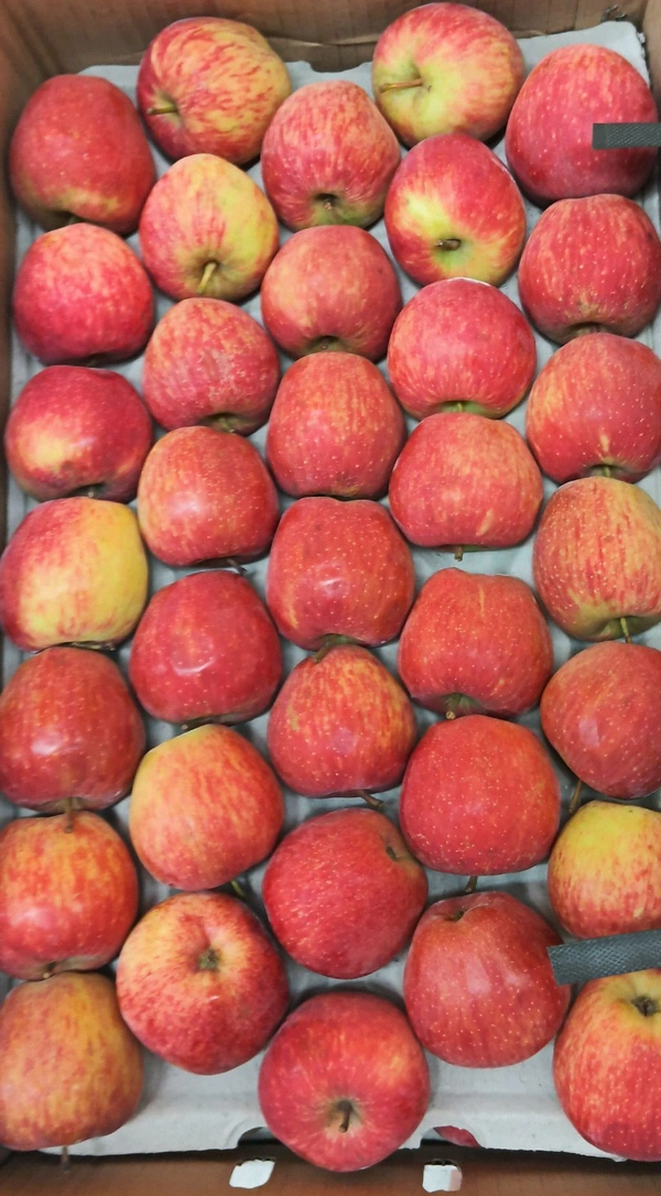 Apple (Royal) - 500Gm