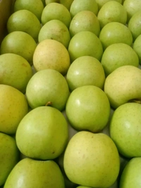 Apple (Golden) - 500 Gm