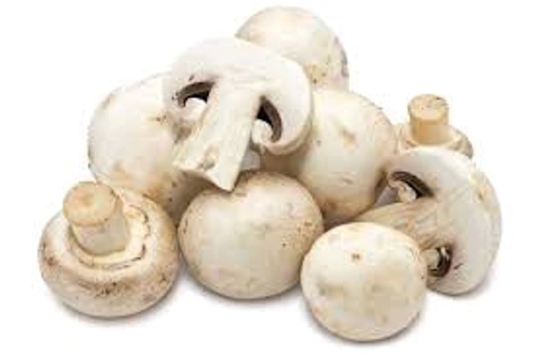 Mushroom 