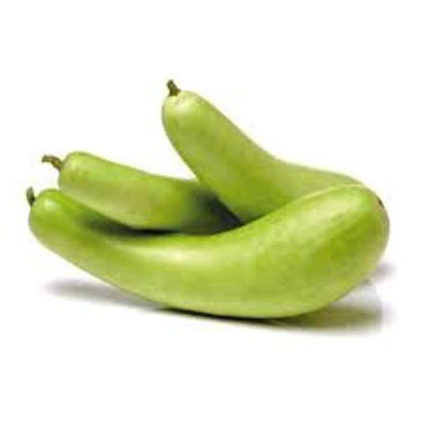 Bottle Gourd  - 1 Piece