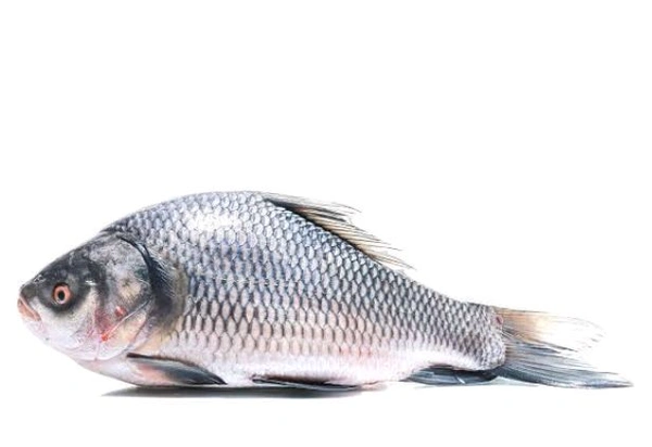 Catla Big Size - 1kg