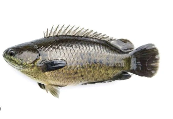 Kawoi - 1kg