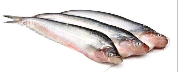 Pabho Fish  - 1kg