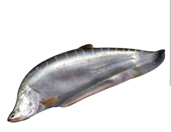 Chitol - 1kg