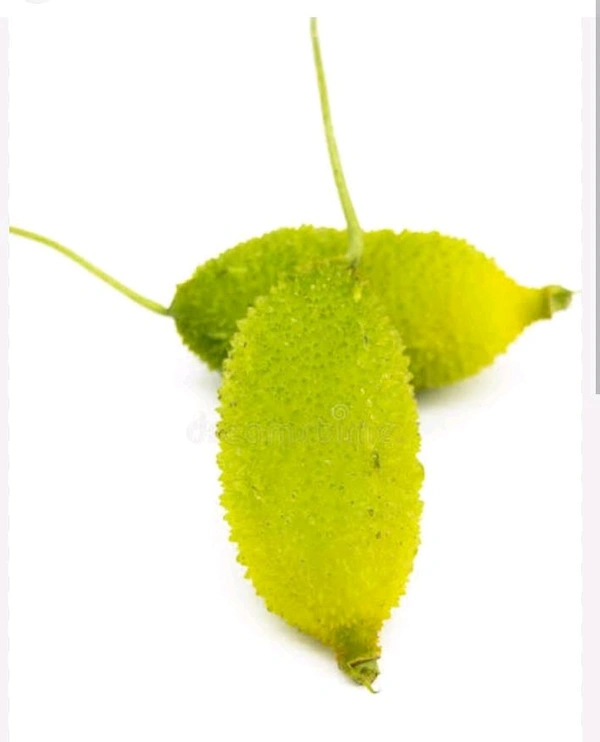 Teasle Gourd (Vat Kerela) - 500