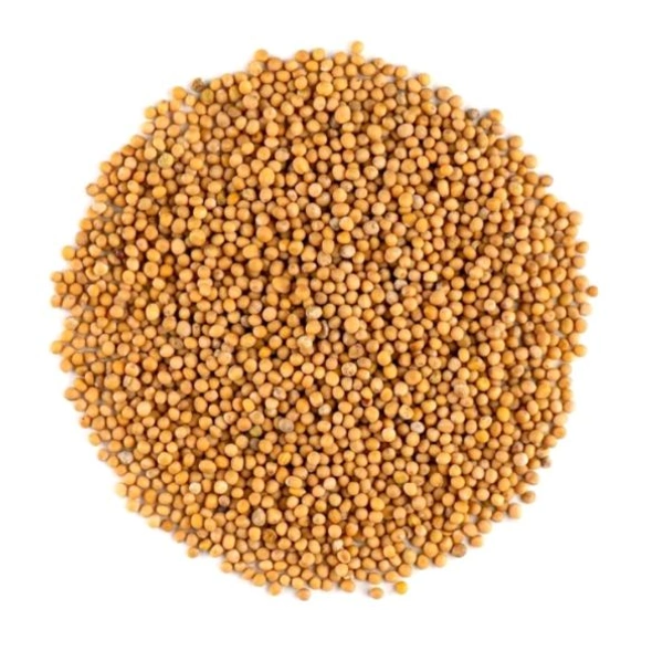 Mustard Seed ( Xoriyah) - 100 Gms