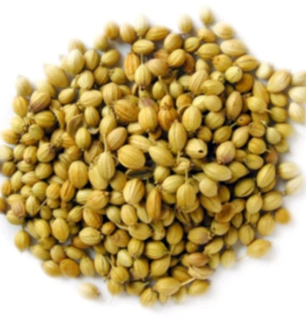 Coriander Seeds ( Gota Dhania) - 100 Gms