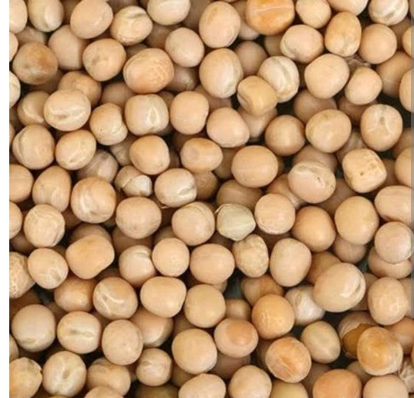 White Motor  - 1kg