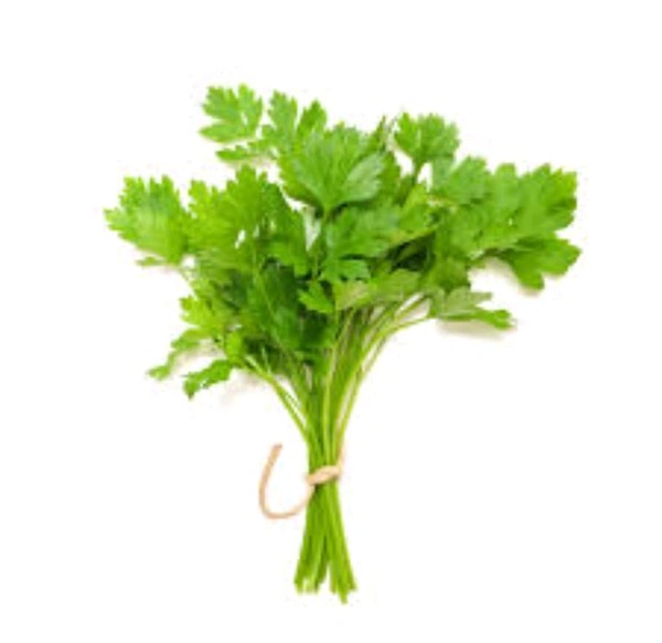 Coriander ( Dhania) - 1 Bunch