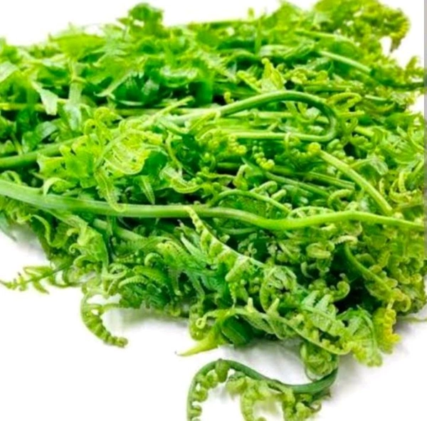 Fern ( Dhekia ) - 1 Bunch