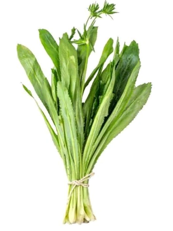 Thai Coriander ( Mandhonia ) - 1 Bunch