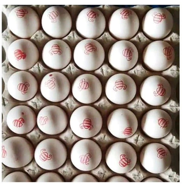 Bahubali Egg  - 15Egg